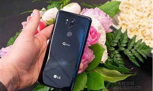 lgg7手机网络信号正常却上不了网_lgg7数据没网