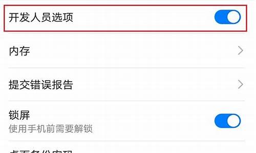 华为手机开发者选项在哪里找_华为手机开发者选项在哪里打开的功能