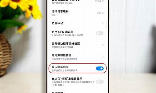 小米手机开发者选项打开CPUgpuFPS